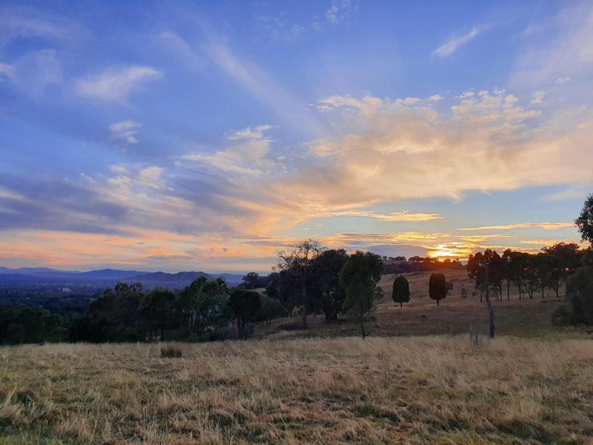 Gaddleen Grove Cottages Wodonga Exteriér fotografie