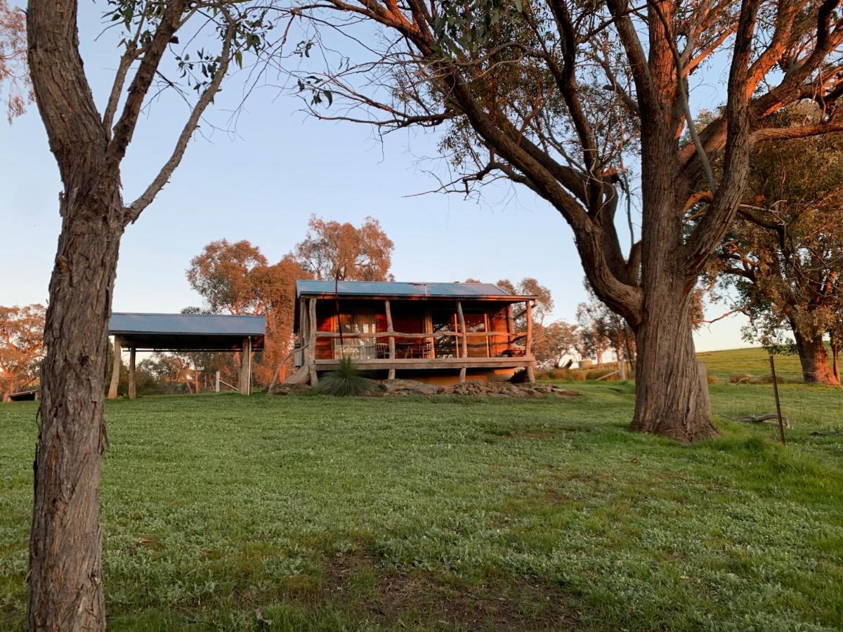 Gaddleen Grove Cottages Wodonga Exteriér fotografie