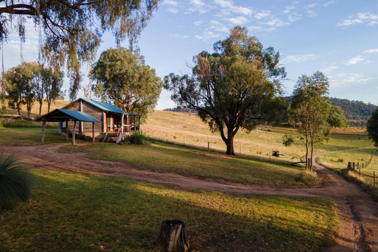 Gaddleen Grove Cottages Wodonga Exteriér fotografie