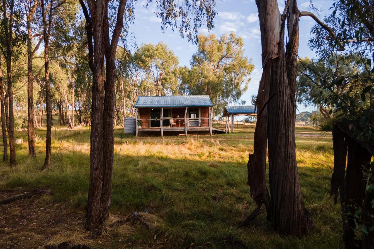 Gaddleen Grove Cottages Wodonga Exteriér fotografie