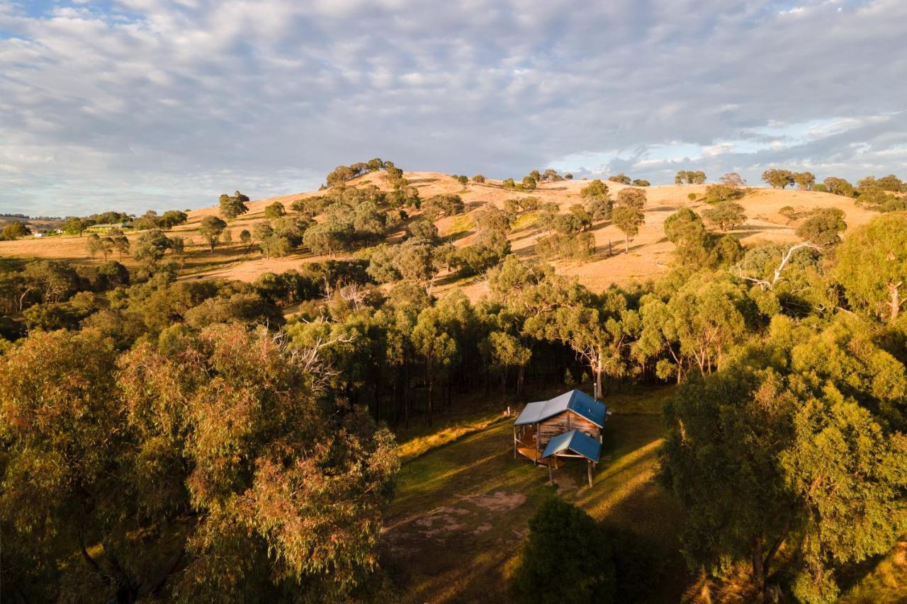 Gaddleen Grove Cottages Wodonga Exteriér fotografie